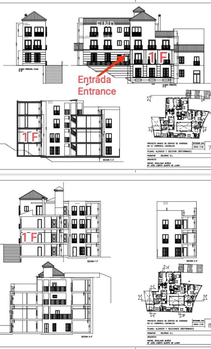 Lagunillasart Apartment Málaga Eksteriør billede